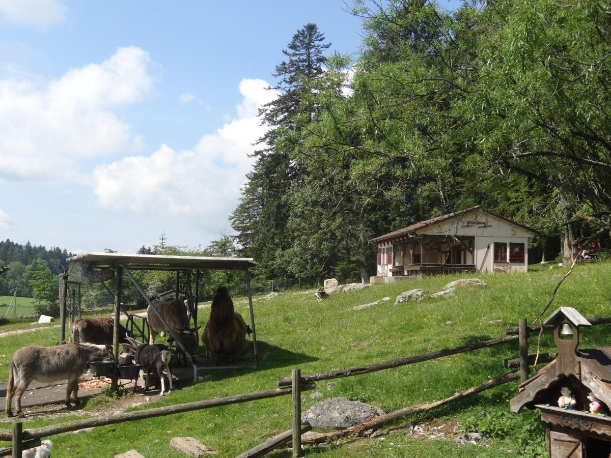 La Cibourg, Centre De Vacances Renan Exterior photo